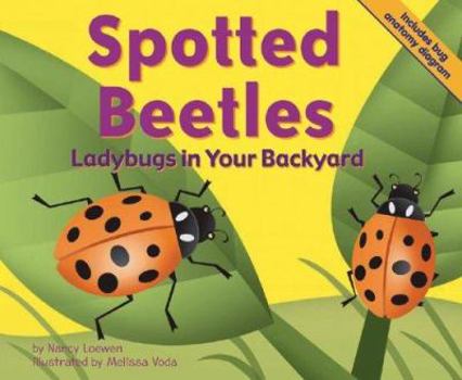 Spotted Beetles: Ladybugs in Your Backyard - Book  of the Backyard Bugs