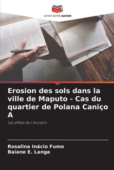 Erosion des sols dans la ville de Maputo - Cas du quartier de Polana Caniço A: Les effets de l'érosion
