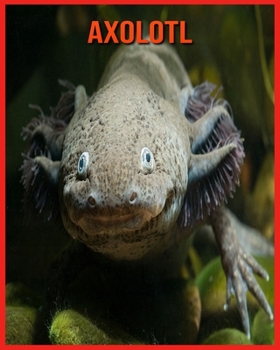Axolotl: Amazing Facts & Pictures