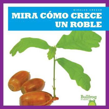 Library Binding Mira Cómo Crece Un Roble (Watch an Oak Tree Grow) Book