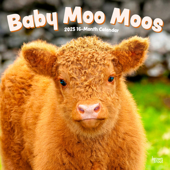 Calendar Baby Moo Moos 2025 12 X 24 Inch Monthly Square Wall Calendar Plastic-Free Book