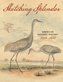 Paperback Sketching Splendor: American Natural History, 1750-1850 Book