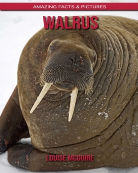 Walrus: Amazing Facts & Pictures
