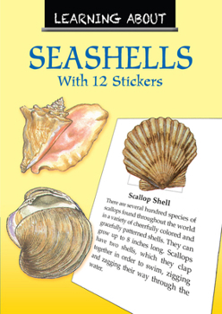 Paperback Learning about Seashells Book