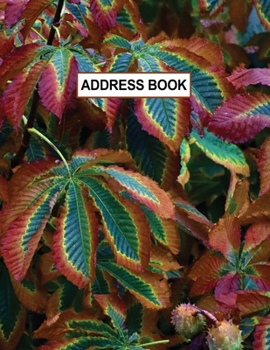 Low Vision Large Print Address and Password Record Book: Organizer for Visually Impaired 8.5" x 11" with Bold Lines 3/4" Apart Fall Colors Cover