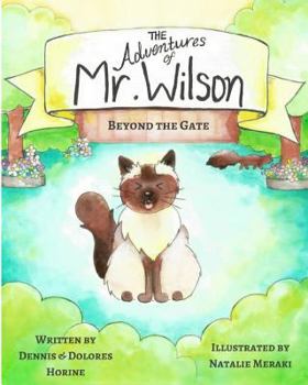 Paperback The Adventures of MR Wilson Book