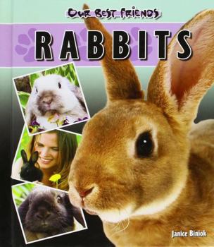 Hardcover Rabbits Book