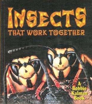 Paperback Insects That Work Together Book