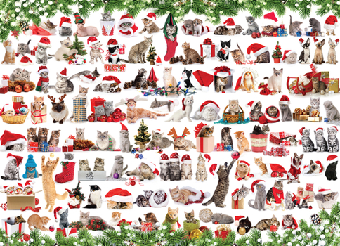 Misc. Holiday Cats Book