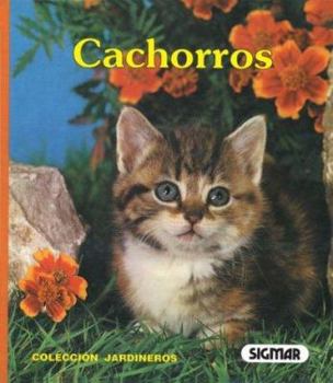 Paperback Cachorros/kittens (JARDINEROS) (Spanish Edition) [Spanish] Book