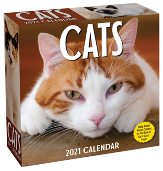 Calendar Cats 2021 Day-To-Day Calendar Book