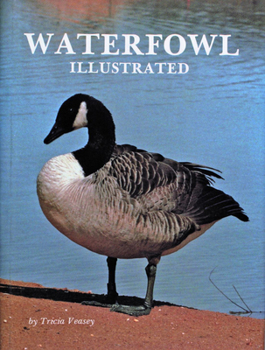 Hardcover Waterfowl Illustrated Book