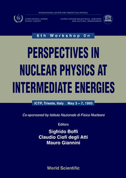 Hardcover Perspectives in Nuclear Physics at Intermediate Energy - Proceedings of the 6th Workshop Book