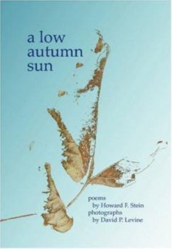 Paperback A Low Autumn Sun Book