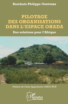 Paperback Pilotage des organisations dans l'espace OHADA: Des solutions pour l'Afrique [French] Book