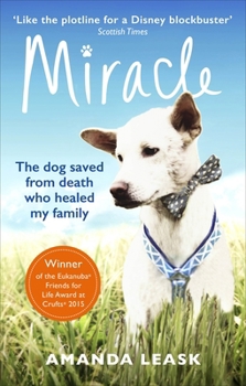 Paperback Miracle Book