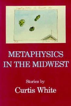 Paperback Metaphysics in the Midwest Book