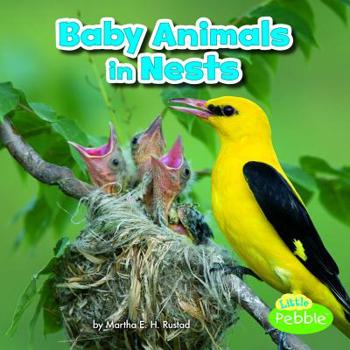 Paperback Baby Animals in Nests Book