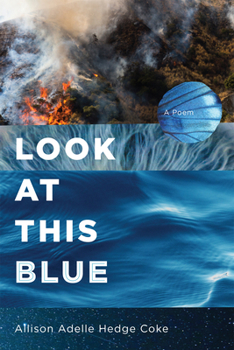 Paperback Look at This Blue Book
