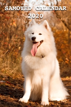 Samoyed Calendar 2020: Calendars Gift 110 Pages 6x9 Soft Cover Matte Finish