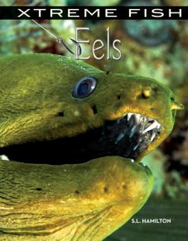 Eels - Book  of the Xtreme Fish