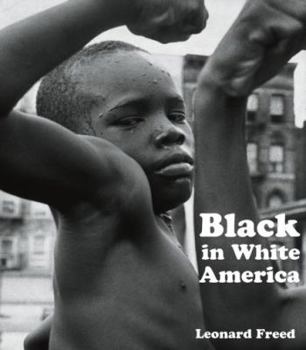 Paperback Black in White America Book