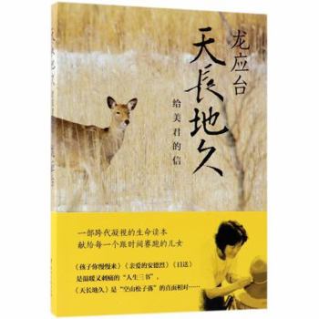 Paperback The Letters to Meijun (Chinese Edition) [Chinese] Book