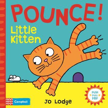Board book Pounce! Little Kitten Book