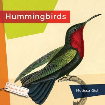 Paperback Hummingbirds Book