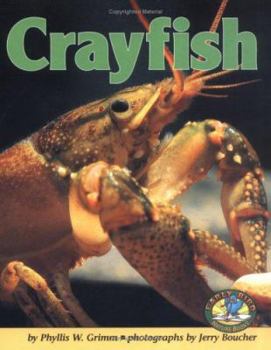Hardcover Crayfish Book