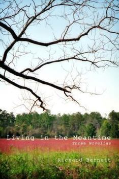 Paperback Living in the Meantime: Three Novellas Book