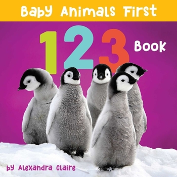 Board book Baby Animals First 123 Book
