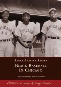 Paperback Black Baseball in Chicago Book