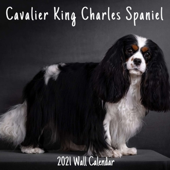 Paperback Cavalier King Charles Spaniel 2021 Wall Calendar: Cavalier King Charles Spaniel 2021 Calendar, 18 Months. Book