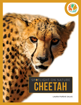 Paperback Cheetah Book