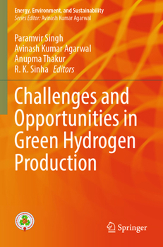 Paperback Challenges and Opportunities in Green Hydrogen Production Book