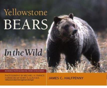 Hardcover Yellowstone Bears in the Wild Book