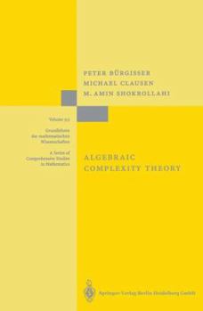 Paperback Algebraic Complexity Theory Book