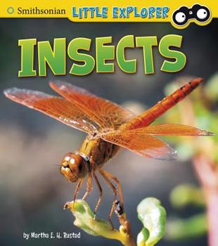 Hardcover Insects Book