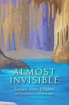 Paperback Almost Invisible: A Pixquik Adventure Book