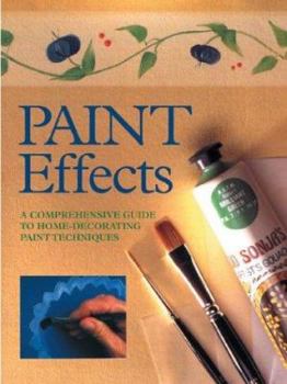 Paperback Paint Effects: A Unique Guide on How to Use Decorative Paint Effects Book
