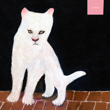 Vinyl Duster   Seaglass Wave Book