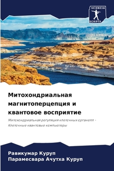 Paperback Митохондриальная магни&# [Russian] Book