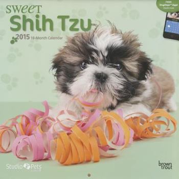 Calendar Sweet Shih Tzu 18-Month 2015 Calendar Book