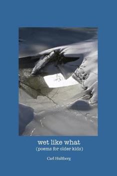 Paperback wet like what: (poems for older kids) Book