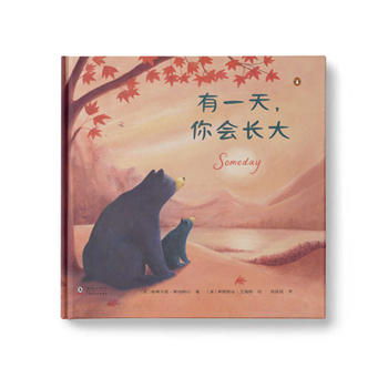 Paperback Someday [Chinese] Book