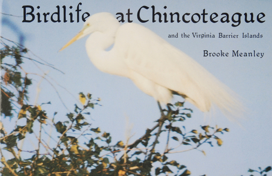 Paperback Birdlife at Chincoteague and the Virginia Barrier Islands Book
