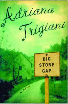 Hardcover Big Stone Gap Book
