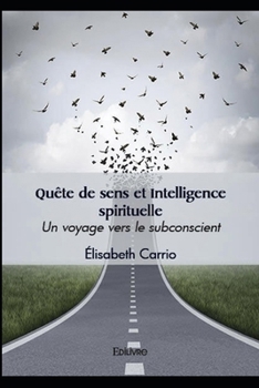 Paperback Quête de sens et intelligence spirituelle [French] Book