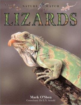 Hardcover Lizards Book